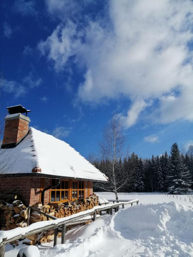 Mountain House Tadic 1 Villa Bajina Basta Eksteriør bilde